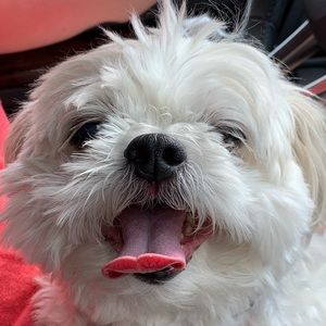 Meet your Posher, Margaret